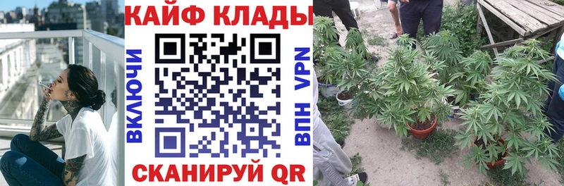 Где купить наркотики Светлоград Амфетамин  A-PVP  КЕТАМИН  Мефедрон  Канабис  мега как войти  Кокаин  Гашиш 