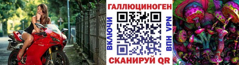 Псилоцибиновые грибы Cubensis как найти закладки площадка клад Светлоград