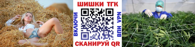 купить наркотики сайты Светлоград darknet состав Марихуана сатива